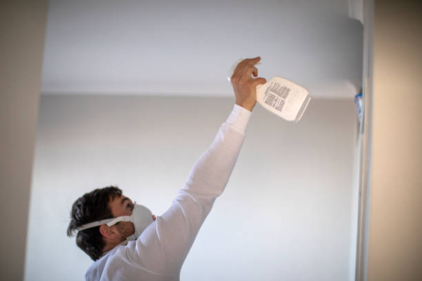 Mold Removal and Inspection in New Madrid, MO
