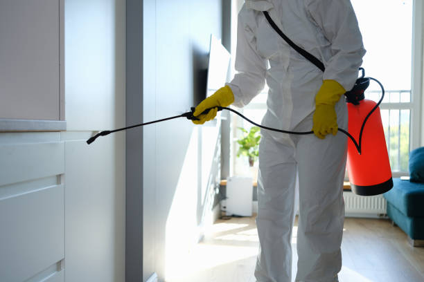 Best Toxic Mold Removal  in New Madrid, MO