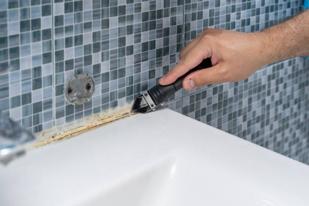 Best Mold Testing and Removal  in New Madrid, MO